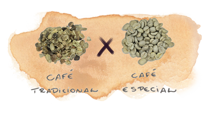 Café especial: produtores de conilon e robusta podem se associar à BSCA