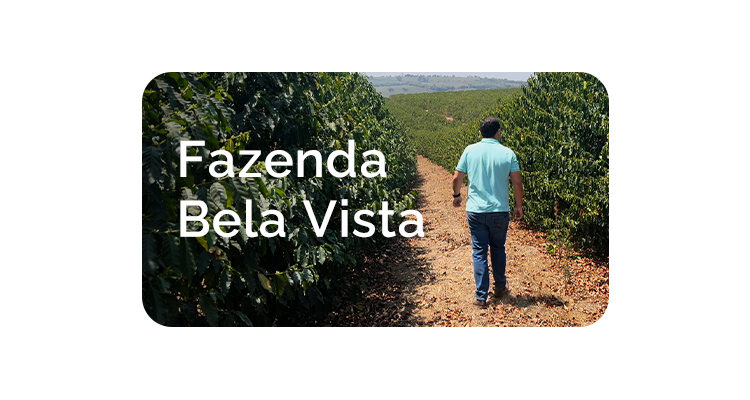 Fazenda Bela Vista: Tradição, Sustentabilidade e Paixão na Construção de um Legado Centenário de Café Especial