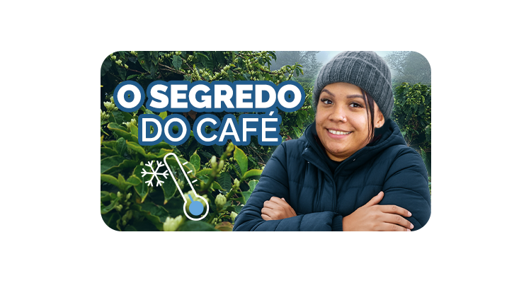 Por Que o Clima da Região Influencia Tanto o Sabor do Seu Café?