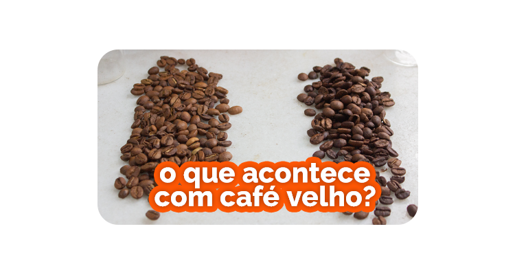 Café velho perde o sabor? Descubra o que acontece quando ele fica guardado