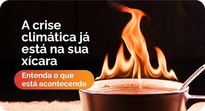Mudanças climáticas podem acabar com o café? Entenda os impactos no sabor, preço e produção