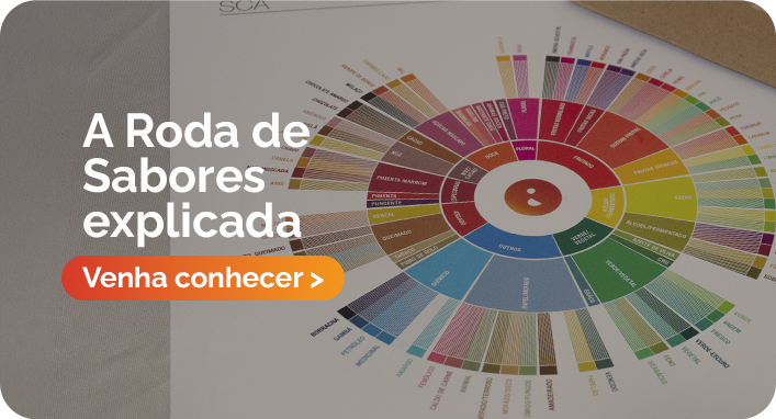 Como Funciona a Roda de Sabores do Café? Descubra o Segredo para Identificar Notas Sensoriais